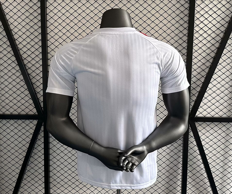 Manchester United 24/25 — vue alternative